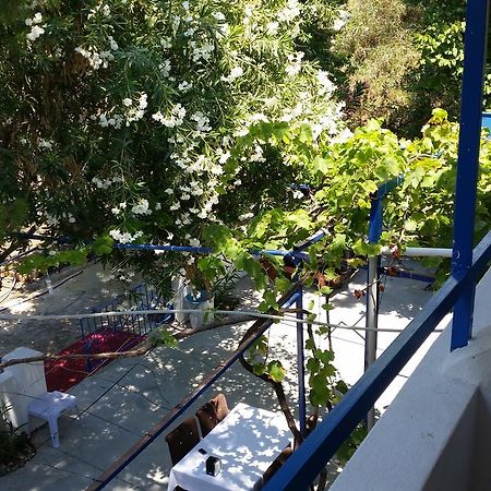 Deniz Yildizi Bed and Breakfast Fethiye Eksteriør billede